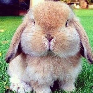 Meet your Posher, Jilliann